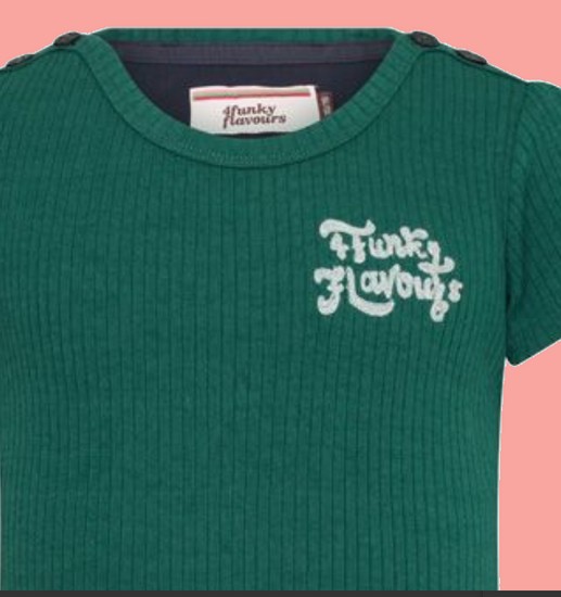 Kindermode 4funkyFlavours Sommer 2021 4funkyFlavours T-Shirt American Girls green #6892
