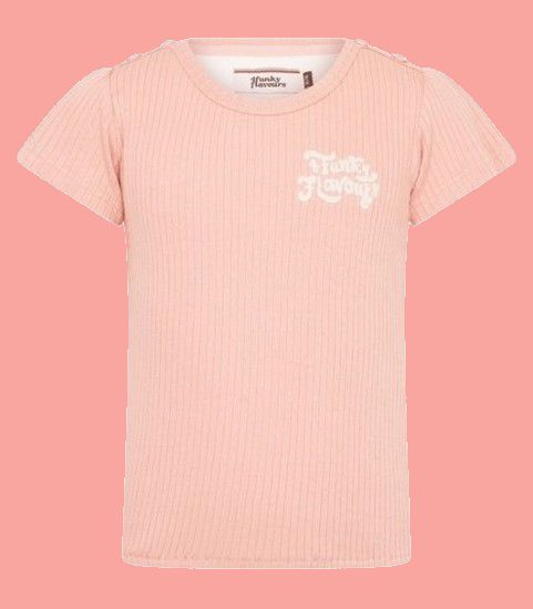 Kindermode 4funkyFlavours Sommer 2021 4funkyFlavours T-Shirt Gonna Get Along pink #6930